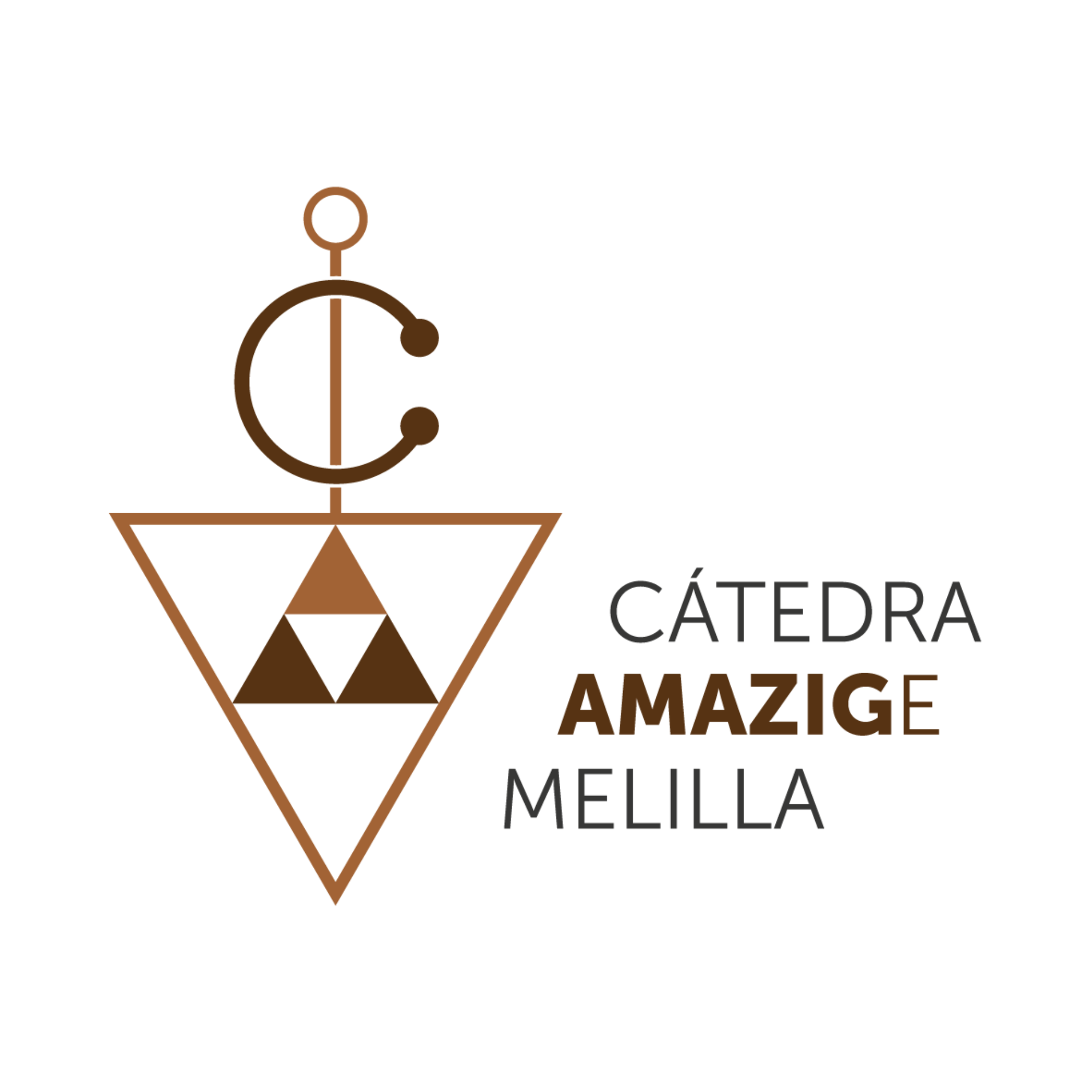 La Cátedra Amazige de Melilla: entre la crítica legítima y la desinformación